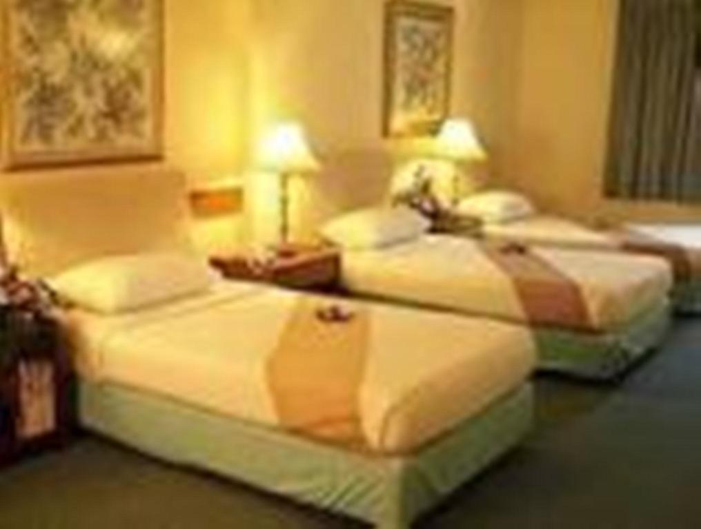 Hotel Hans International New Delhi Bilik gambar